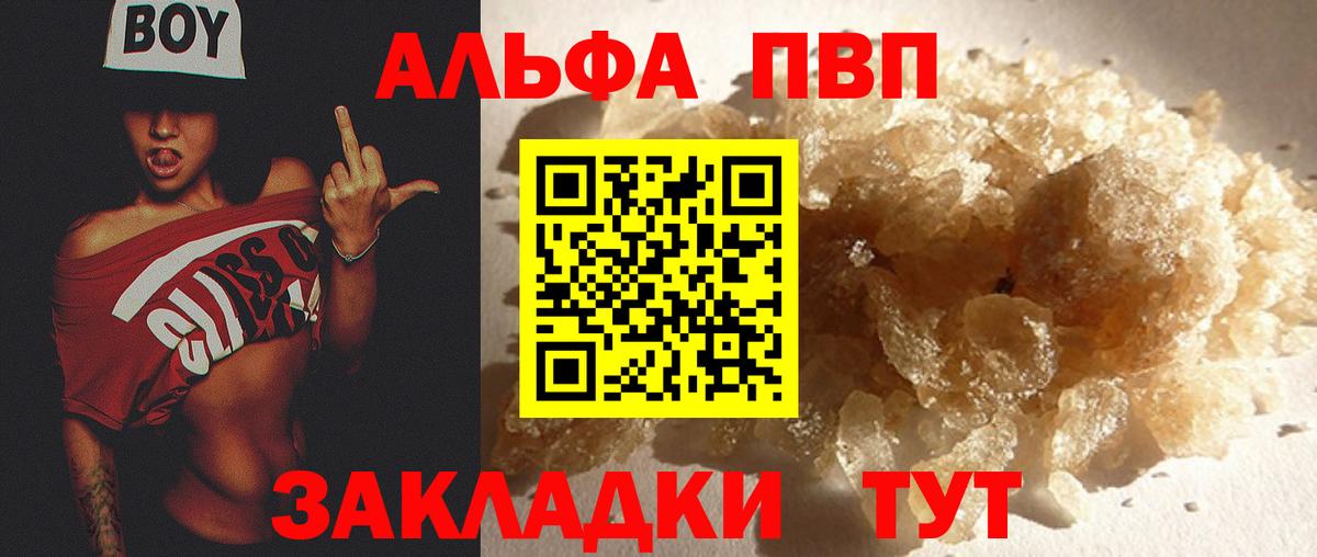 A PVP СК КРИС Заводоуковск