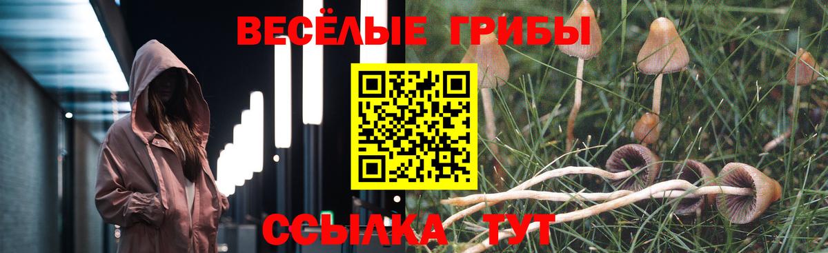 Заводоуковск  Альфа ПВП СОЛЬ   Кокаин  Мефедрон   МАРИХУАНА  Вход с VPN  Гашиш 