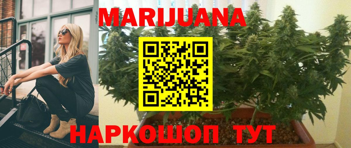 Шишки марихуана гибрид  Вход с VPN  Канабис сатива  Марихуана VHQ  Заводоуковск 